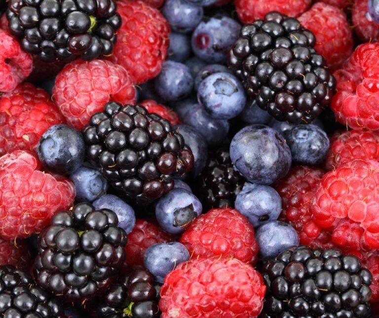 What is Lotus Energy made out of? Lotus Recipes