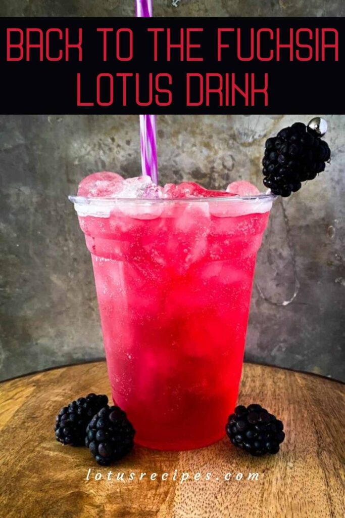 back to the fuchsia lotus drink-pin image
